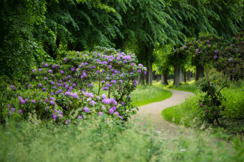 Der idyllische Schlossgarten ist im Sommer grüne Kulisse für Konzerte.