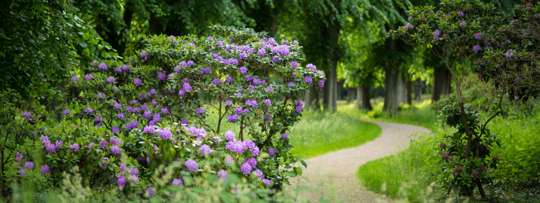 Der idyllische Schlossgarten ist im Sommer grüne Kulisse für Konzerte.