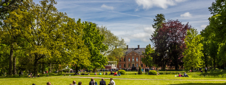 Auf der Wiese kann gepicknickt und entspannt werden.