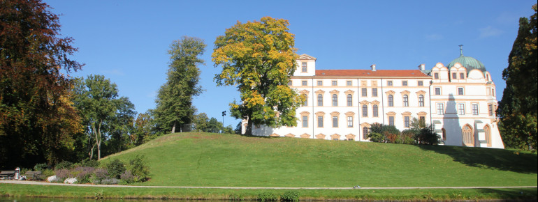 Im Schloss lässt das Residenzmuseum die Landes- und Residenzgeschichte lebendig werden.