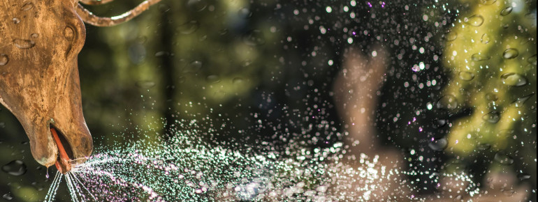 Hirschgeweih Wasserspiele