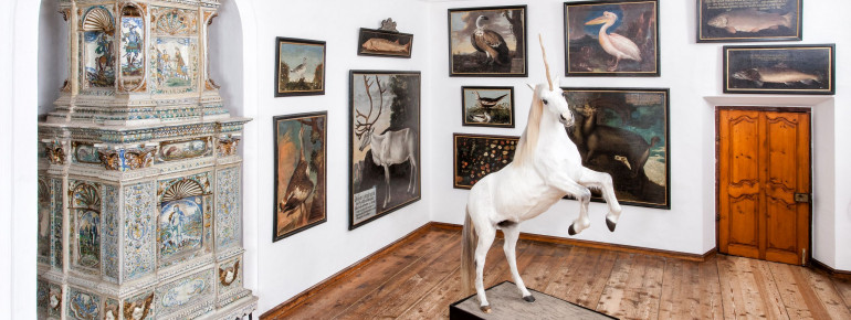 Schlossausstellung SchauLust