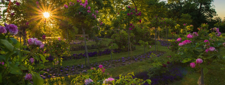 Der Schlosspark ist einer der schönsten englischen Landschaftsparks in Mecklenburg-Vorpommern.