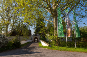 Das Hauptportal des Schlosses zieren Familienwappen der Fürsten Esterházy.