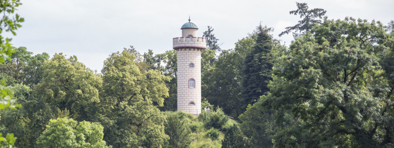 Neben dem Schloss Schönbusch ist auch der Aussichtsturm Teil des Parks.