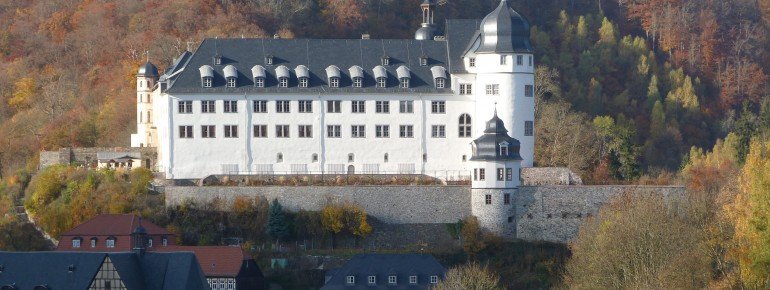 Blick von der Lutherbuche zum Schloss
