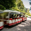 Mit dem Bummelzug Tratzberg-Express kannst du nach oben zum Schloss fahren.