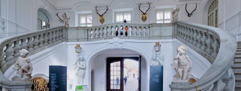 Diese imposante Treppe sowie Repräsentationssäle können im Rahmen einer Schlossführung besichtigt werden.