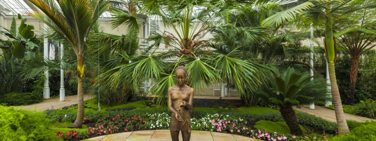 Im historischen Palmenhaus wachsen exotische Pflanzen inmitten königlicher Gartenpracht.