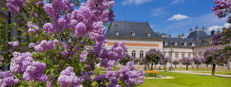 Schloss und Park bilden ein einzigartiges Ensemble aus Architektur, Natur und Geschichte.