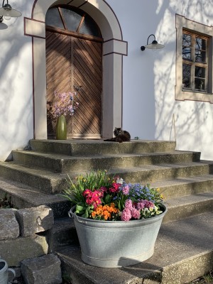 Idylle pur herrscht hier im Schloss Wappersdorf in der Oberpfalz.