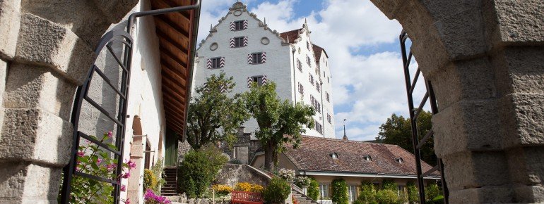 Schloss Wildegg Hof