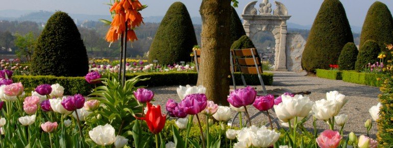Blick in den Garten von Schloss Wildegg