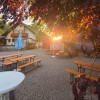 Die Abendsonne lässt sich im Biergarten vom Park gneißen.