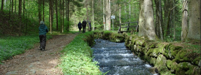 Steilstufe des Schwarzenbergischen Schwemmkanals