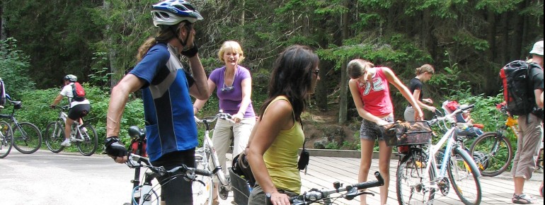 Radfahren am Schwarzenbergischen Schwemmkanal