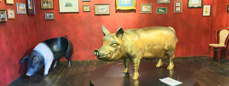 Das goldene Schwein im Schweinemuseum Stuttgart – Symbol für Glück, Fruchtbarkeit und göttliche Kraft in verschiedenen Kulturen.