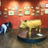 Das goldene Schwein im Schweinemuseum Stuttgart – Symbol für Glück, Fruchtbarkeit und göttliche Kraft in verschiedenen Kulturen.
