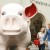 Kurios, kreativ und kultig: Das Schweinemuseum Stuttgart zeigt die Welt der Schweine in all ihren Facetten.