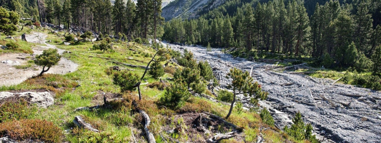 Vielfältige Landschaften