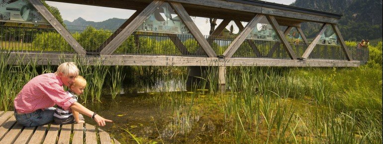 Die Schwemm ist Heimat vieler seltener Tier- und Pflanzenarten