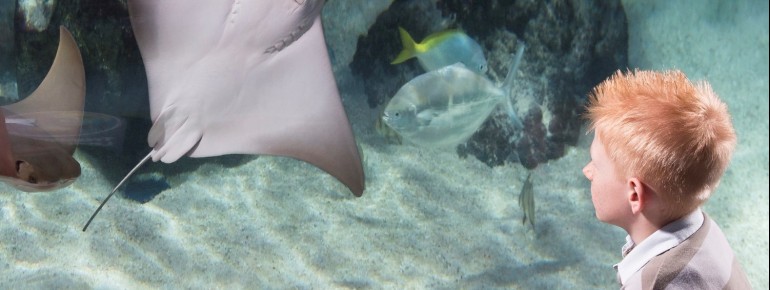 Hier kannst du mehr als 3.500 Tiere bestaunen.