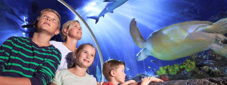 Das Großaquarium erstreckt sich über eine Fläche von 1.500 Quadratmetern.