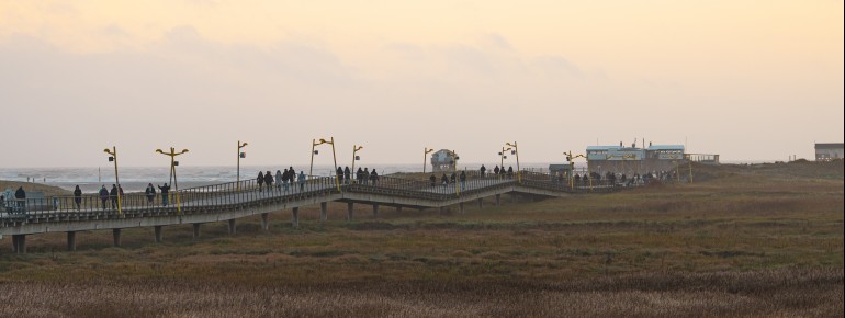 Rund 7.000 Holzpfähle und etwa 98.000 Schrauben und Nägel tragen die imposante Holzkonstruktion über dem Watt.