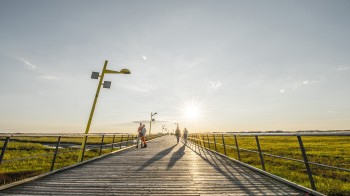 Die barrierefreie Holzkonstruktion führt vom Ortsteil Bad über Salzwiesen, Dünen und Priele mitten durch den Nationalpark Schleswig-Holsteinisches Wattenmeer.