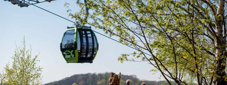 Mit der Gondelbahn geht es hoch zum Hexentanzplatz.