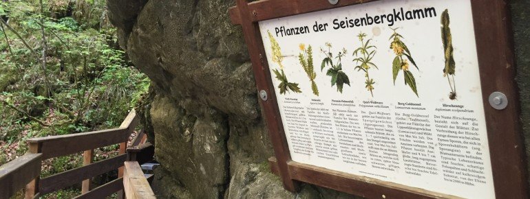 Auf Pfad gibt es zahlreiche nützliche Infos über Flora und Fauna.