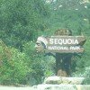 Das Eingangsschild zum Seqouia Nationalpark