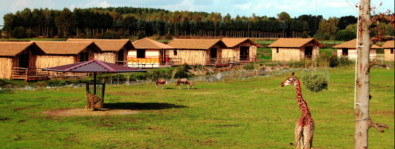Herrliche Aussichten - eine Nacht in der Masai Mara!Von der Terrasse eurer Lodge könnt ihr, nur durch einen Wassergraben getrennt, die Tiere auf der Masai Mara Anlage beobachten.Giraffen, Spießböcke, Husarenaffen und viele andere tummeln sich auf einer großzügigen Freianlage.