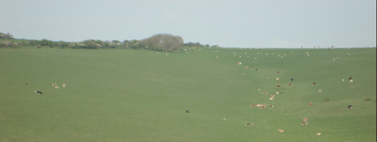 Endlose Wiesen auf den Seven Sisters
