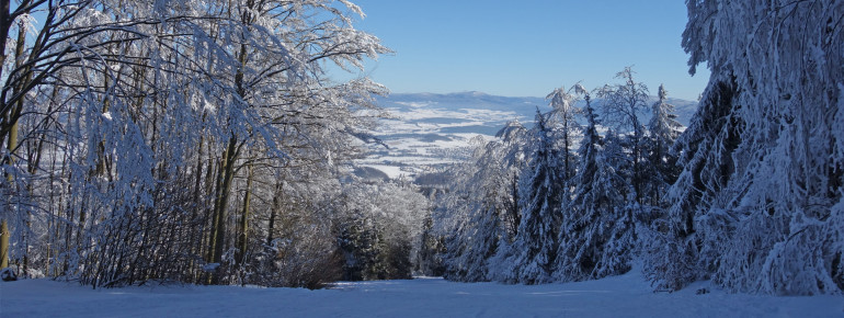 Familienabfahrt mit Ausblick ins Tal
