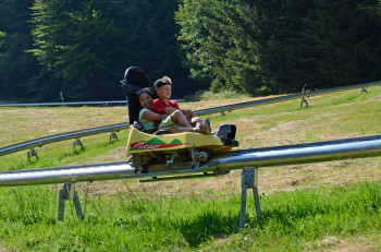 Der Grünberg-Flitzer bietet Sommerrodel-Spaß für Jung und Alt.
