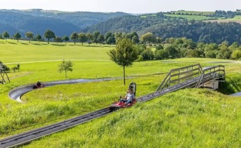Wer möchte, kann mit bis zu 40 km/h ins Tal sausen.