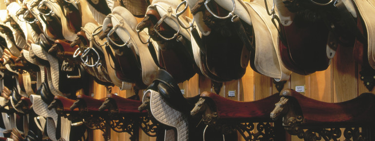 Mit dem Geführten Rundgang kannst du einen Blick hinter die Kulissen werfen und beispielsweise die Sattelkammer sehen.