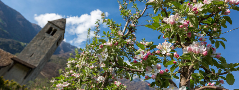 Die Kirche von St. Prokulus im Frühling.