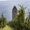 Die wunderschöne St. Prokulus Kirche in Mitten von Apfelplantagen.