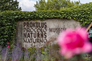 Das Prokulus Museum