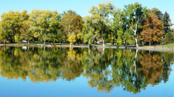 Reflexion der Herbstfarben im See des Parks.