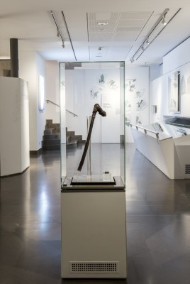 In der Ausstellung sind auch Ausrüstungsgegenstände von Ötzi zu sehen, die mehr als fünf Jahrtausende im Eis überdauert haben.