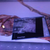 Auf einem "Ötzi-großen" Tablet kann man den Körper des Eismannes in verschiedenen Arten bestaunen