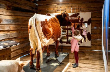 Kind im Talmuseum Hüttschlag