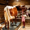 Kind im Talmuseum Hüttschlag