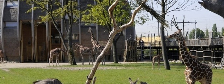 Artgerechte Haltung in einem Geozoo