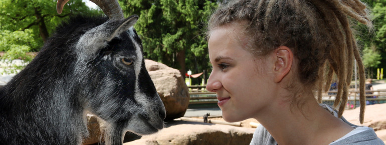 Teilweise kann man den Tieren ganz nah kommen.