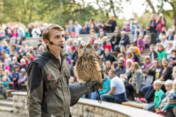 Ein echtes Highlight: Als Zuschauer bei einer Flugshow im Tierpark Berlin dabei zu sein!