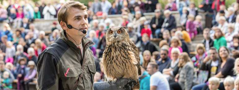 Ein echtes Highlight: Als Zuschauer bei einer Flugshow im Tierpark Berlin dabei zu sein!